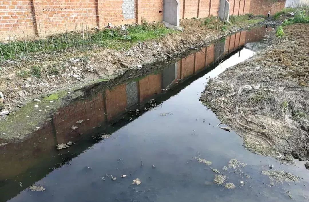 黑臭水体